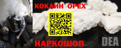 прущие грибы Кингисепп