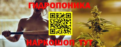 прущие грибы Кингисепп