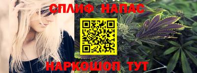 прущие грибы Кингисепп
